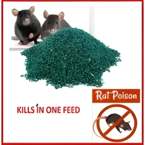 ProGuard Rat Killer Chocolate Poison - Ultra Effective Mouse Killer Tablets – Fast-Acting Rodent Control for Homes and Gardens | One Bottle 100 Grams