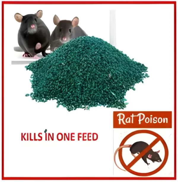 ProGuard Rat Killer Chocolate Poison - Ultra Effective Mouse Killer Tablets – Fast-Acting Rodent Control for Homes and Gardens | One Bottle 100 Grams