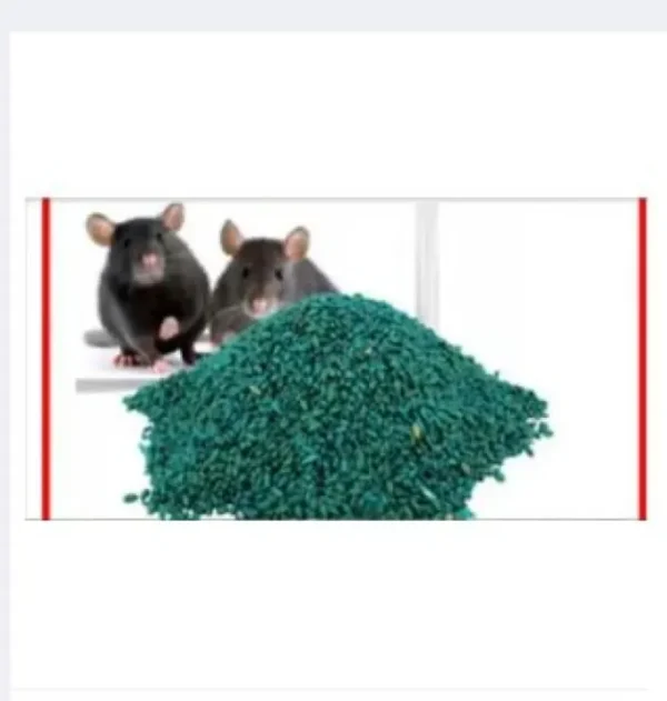 ProGuard Rat Killer Chocolate Poison - Ultra Effective Mouse Killer Tablets – Fast-Acting Rodent Control for Homes and Gardens | One Bottle 100 Grams